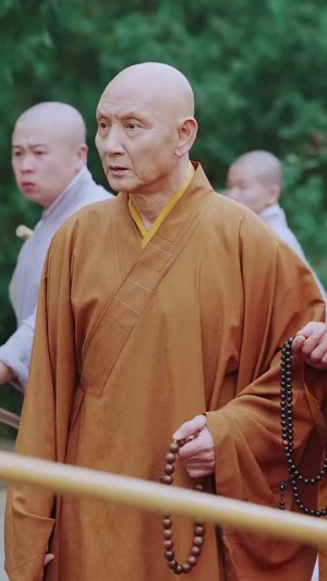 天下嵩山（29集）精彩短剧分享。