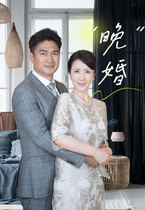 晚婚（65集）热门短剧在线看