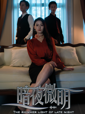 暗夜微明（70集）追短剧太上头了