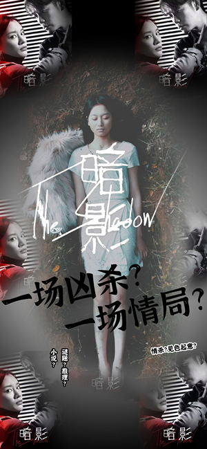 暗影（50集）解说