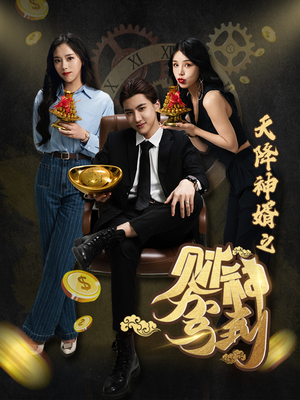 天降神婿之财神驾到（86集）最新上映免费看