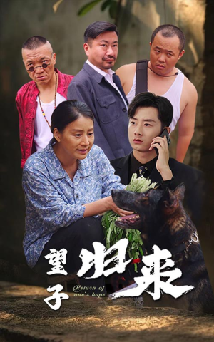 望子归来（50集）短剧排行榜