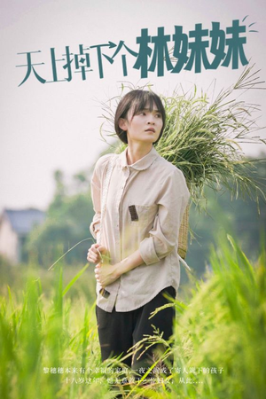 天上掉下个林妹妹（81集）精彩短剧又来了