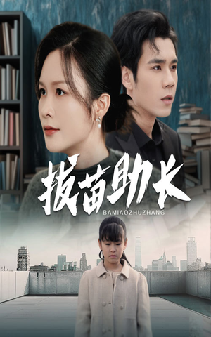 拔苗助长（33集）一共多少集