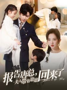报告唐总夫人带着崽崽回来了（100集）一起追短剧