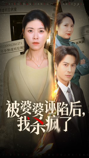 被婆婆诬陷后我杀疯了（30集）夸克网盘在线看