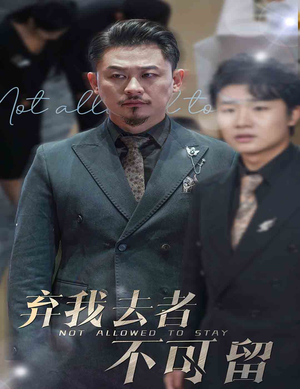 弃我去者不可留（60集）看短剧放松一下