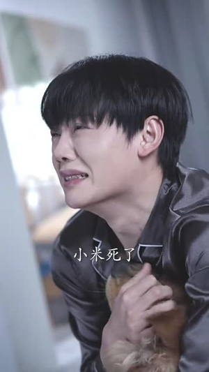 会有天使替我来爱你（29集）短剧免费观看