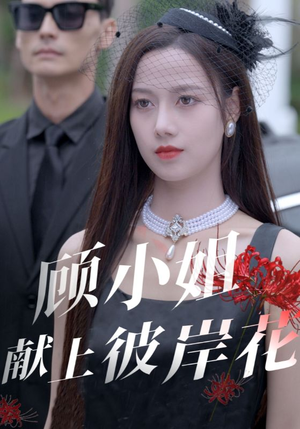 顾小姐献上彼岸花（69集）每日分享短剧