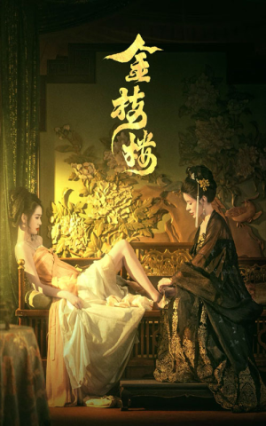 金枝楼（52集）排行榜前十短剧