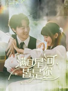 满目星河皆是你（80集）在线观看全集