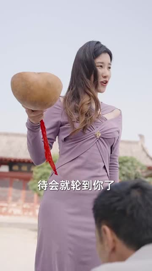 半块月饼（61集）古装短剧热播