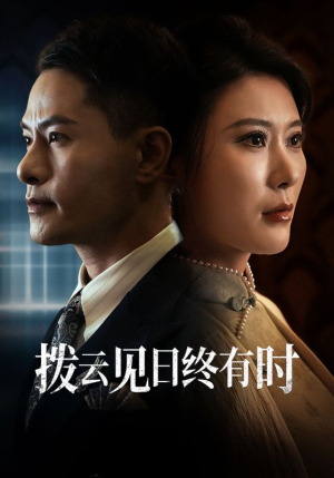拨云见日终有时（30集）网上可以看吗
