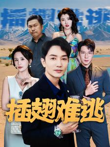 插翅难逃（43集）热播短剧推荐