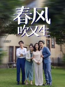 春风吹又生（56集）百度网盘在线看