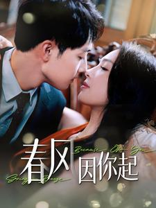 春风因你起（95集）排行榜前十短剧