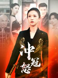 冲冠怒（93集）热门短剧推广