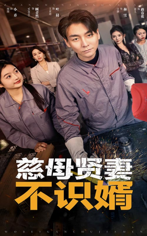 慈母贤妻不识婿（45集）每日短剧分享