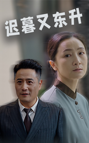 迟暮又东升（35集）短剧太好看了