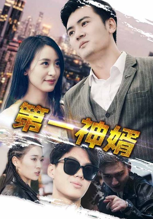 第一神婿（110集）短剧在哪个平台