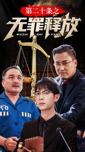 第二十条之无罪释放（76集）一口气看完