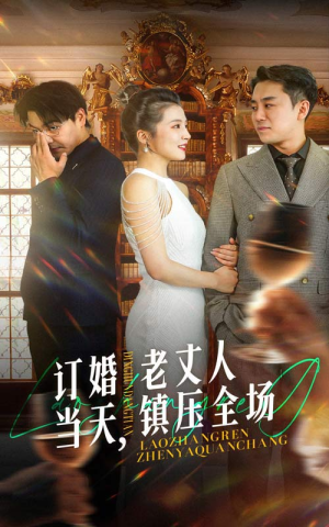 订婚当天，老丈人镇压全场（29集）评价怎么样