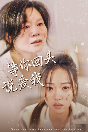 等你回头说爱我（87集）河马免费短剧