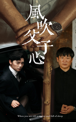 风吹父子心（65集）热门爆款短剧