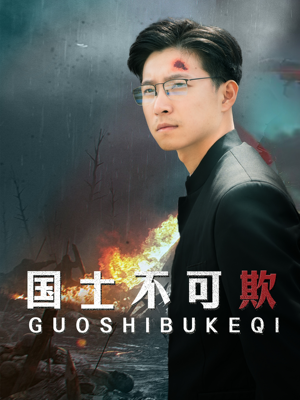 国士不可欺（79集）免费看全集