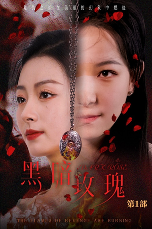 黑暗玫瑰（84集）在线看