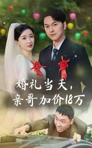 婚礼当天，亲哥加价18万（36集）看精彩短剧