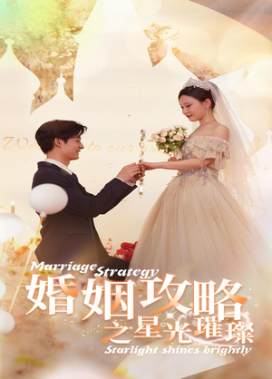 婚姻攻略之星光璀璨（32集）全集下载