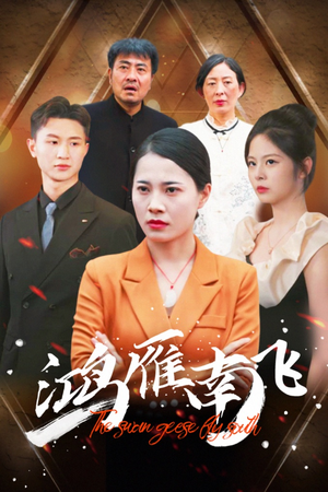 鸿雁南飞（64集）海量短剧免费看