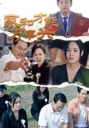 家和才能万事兴（30集）超级好看的短剧