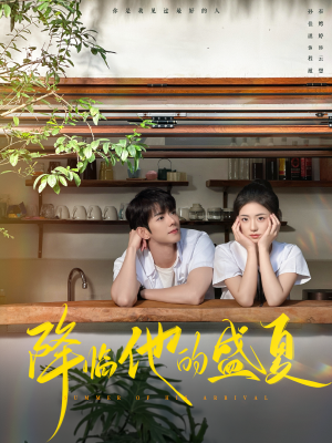 降临他的盛夏（90集）追短剧看全集
