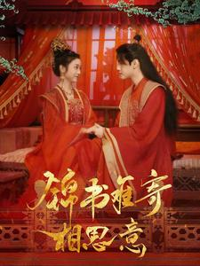 锦书难寄相思意（97集）热播短剧抢先看