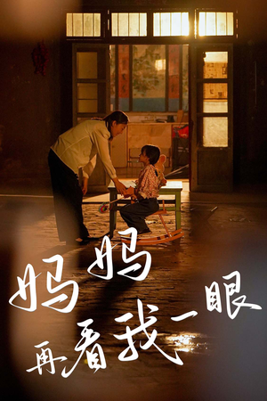 妈妈再看我一眼（32集）短剧在线更新