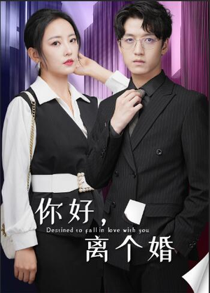你好，离个婚（30集）短剧在线更新