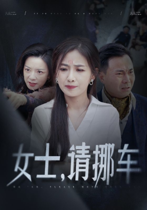 善门难开（29集）第一季