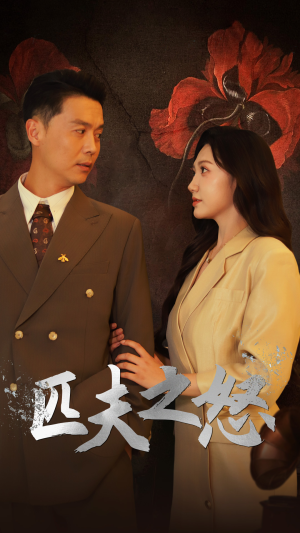匹夫之怒（48集）精彩连连免费看