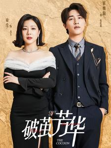 破茧芳华（80集）一口气看完