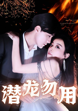 潜龙勿用（87集）热门短剧看不停