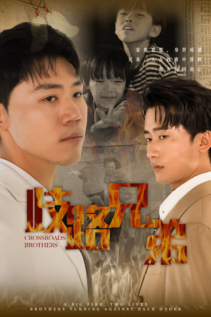 歧路兄弟（63集）海量资源免费看