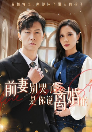 前妻别哭了，是你说离婚的（42集）真的好看吗