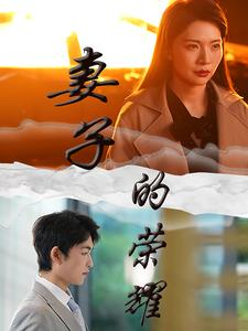 妻子的荣耀（40集）独家资源免费看