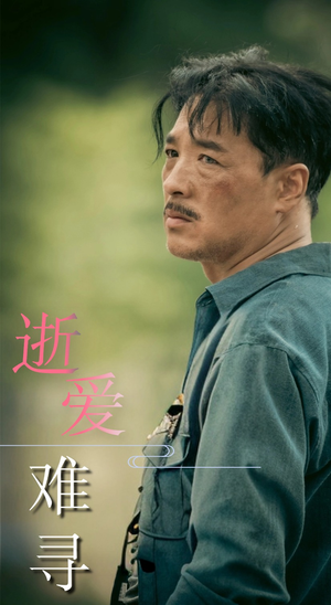 逝爱难寻（76集）哪个网站可以看