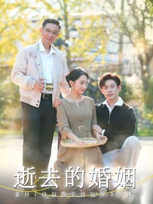 逝去的婚姻（60集）大结局一气呵成