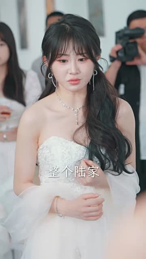 退婚后，大小姐又美又飒（60集）剧情简介