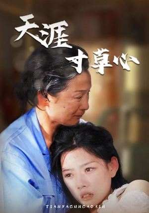 天涯寸草心（76集）免费看全集