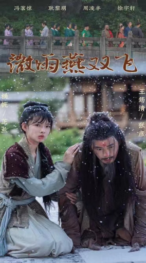 微雨燕双飞（60集）免费在线看全集